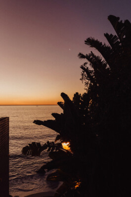 LAURA NENZ — Photography & Visual Storytelling