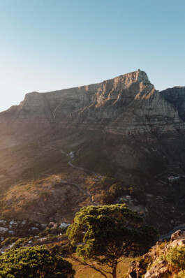 LAURA NENZ — Photography & Visual Storytelling