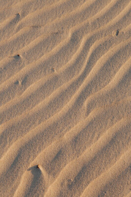 LAURA NENZ — Photography & Visual Storytelling