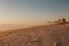 LAURA NENZ — Photography & Visual Storytelling