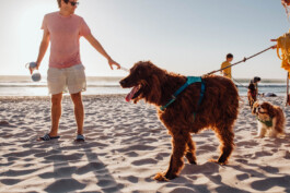 LAURA NENZ — Photography & Visual Storytelling