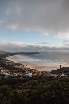 LAURA NENZ — Photography & Visual Storytelling