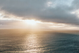 LAURA NENZ — Photography & Visual Storytelling