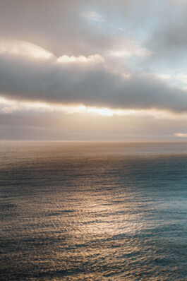 LAURA NENZ — Photography & Visual Storytelling