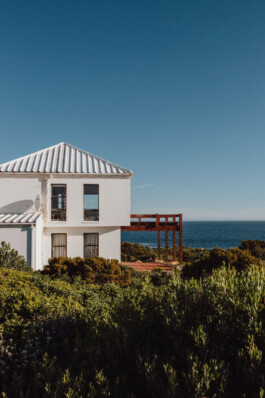 LAURA NENZ — Photography & Visual Storytelling