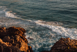 LAURA NENZ — Photography & Visual Storytelling