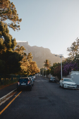 LAURA NENZ — Photography & Visual Storytelling