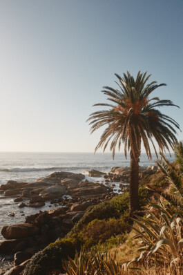 LAURA NENZ — Photography & Visual Storytelling