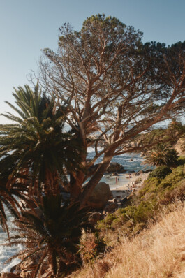 LAURA NENZ — Photography & Visual Storytelling