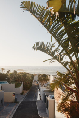 LAURA NENZ — Photography & Visual Storytelling