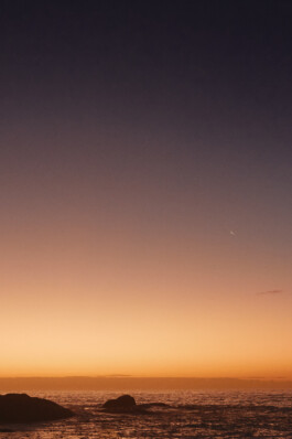 LAURA NENZ — Photography & Visual Storytelling