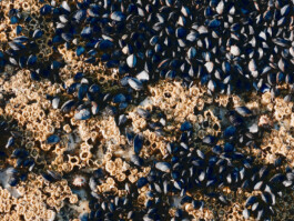 LAURA NENZ — Photography & Visual Storytelling