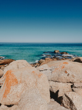 LAURA NENZ — Photography & Visual Storytelling