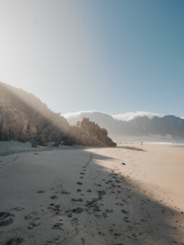 LAURA NENZ — Photography & Visual Storytelling