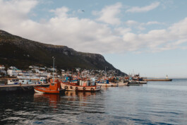 LAURA NENZ — Photography & Visual Storytelling