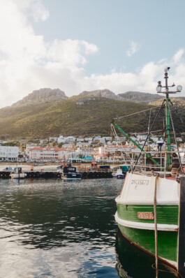 LAURA NENZ — Photography & Visual Storytelling