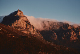 LAURA NENZ — Photography & Visual Storytelling