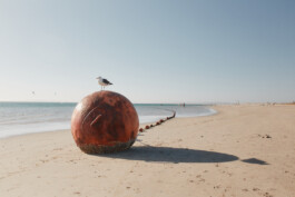 LAURA NENZ — Photography & Visual Storytelling