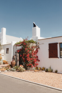 LAURA NENZ — Photography & Visual Storytelling