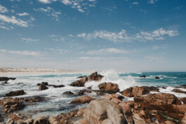 LAURA NENZ — Photography & Visual Storytelling