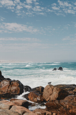 LAURA NENZ — Photography & Visual Storytelling