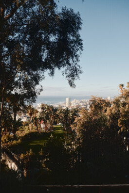 LAURA NENZ — Photography & Visual Storytelling