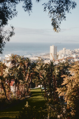 LAURA NENZ — Photography & Visual Storytelling