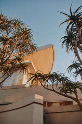 LAURA NENZ — Photography & Visual Storytelling