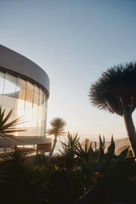 LAURA NENZ — Photography & Visual Storytelling