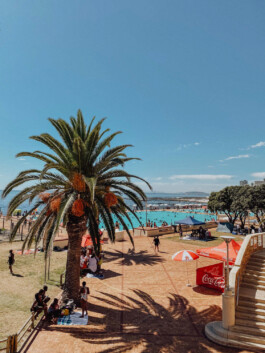 LAURA NENZ — Photography & Visual Storytelling