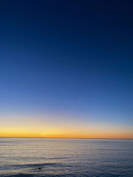 LAURA NENZ — Photography & Visual Storytelling