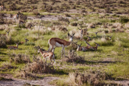 LAURA NENZ — Photography & Visual Storytelling