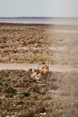 LAURA NENZ — Photography & Visual Storytelling