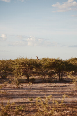 LAURA NENZ — Photography & Visual Storytelling