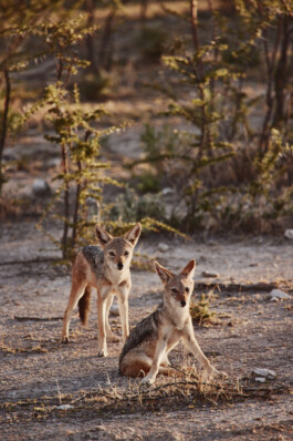 LAURA NENZ — Photography & Visual Storytelling