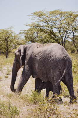 LAURA NENZ — Photography & Visual Storytelling