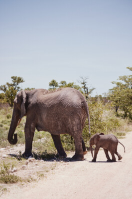 LAURA NENZ — Photography & Visual Storytelling