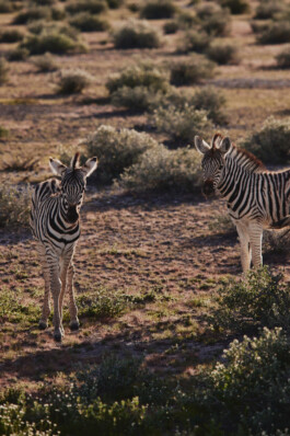 LAURA NENZ — Photography & Visual Storytelling