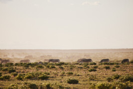 LAURA NENZ — Photography & Visual Storytelling