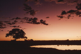 LAURA NENZ — Photography & Visual Storytelling