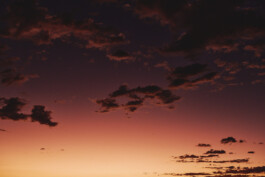 LAURA NENZ — Photography & Visual Storytelling