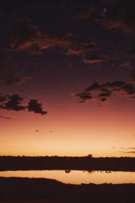 LAURA NENZ — Photography & Visual Storytelling