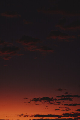 LAURA NENZ — Photography & Visual Storytelling