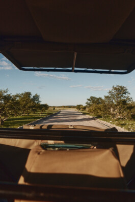 LAURA NENZ — Photography & Visual Storytelling