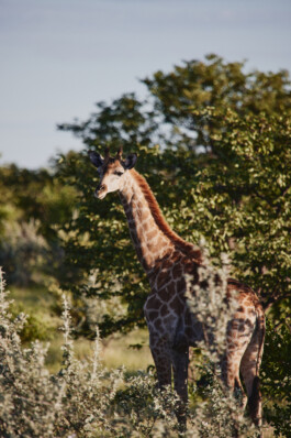 LAURA NENZ — Photography & Visual Storytelling