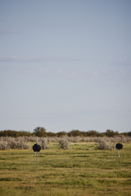 LAURA NENZ — Photography & Visual Storytelling