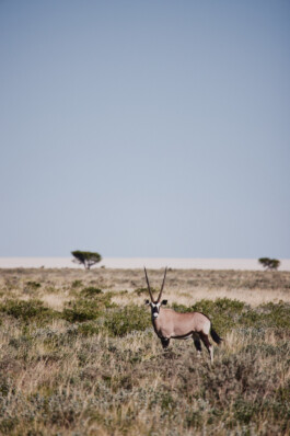 LAURA NENZ — Photography & Visual Storytelling