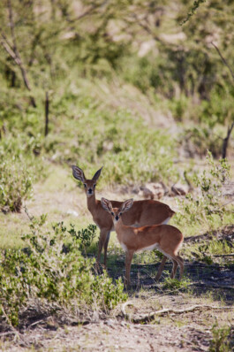 LAURA NENZ — Photography & Visual Storytelling