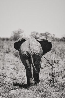 LAURA NENZ — Photography & Visual Storytelling