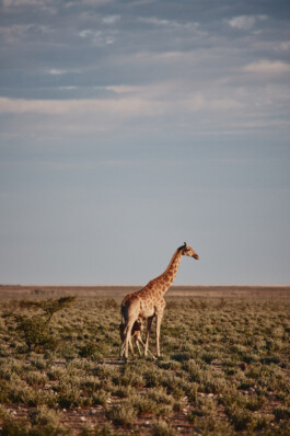 LAURA NENZ — Photography & Visual Storytelling